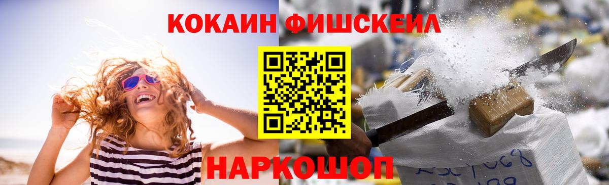 Cocaine Fish Scale  Вход с VPN  Великий Устюг 