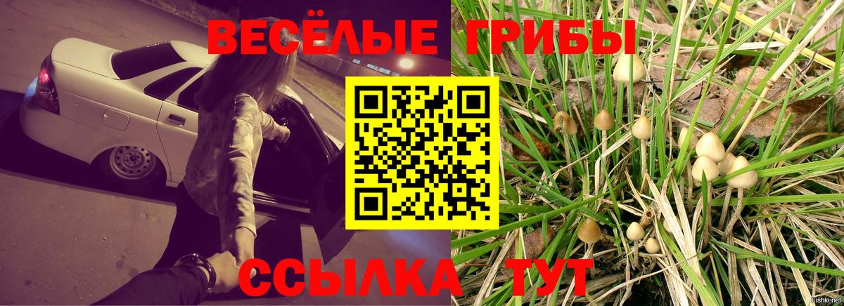 Галлюциногенные грибы MAGIC MUSHROOMS  Галлюциногенные грибы Cubensis  Вход с VPN  Великий Устюг 