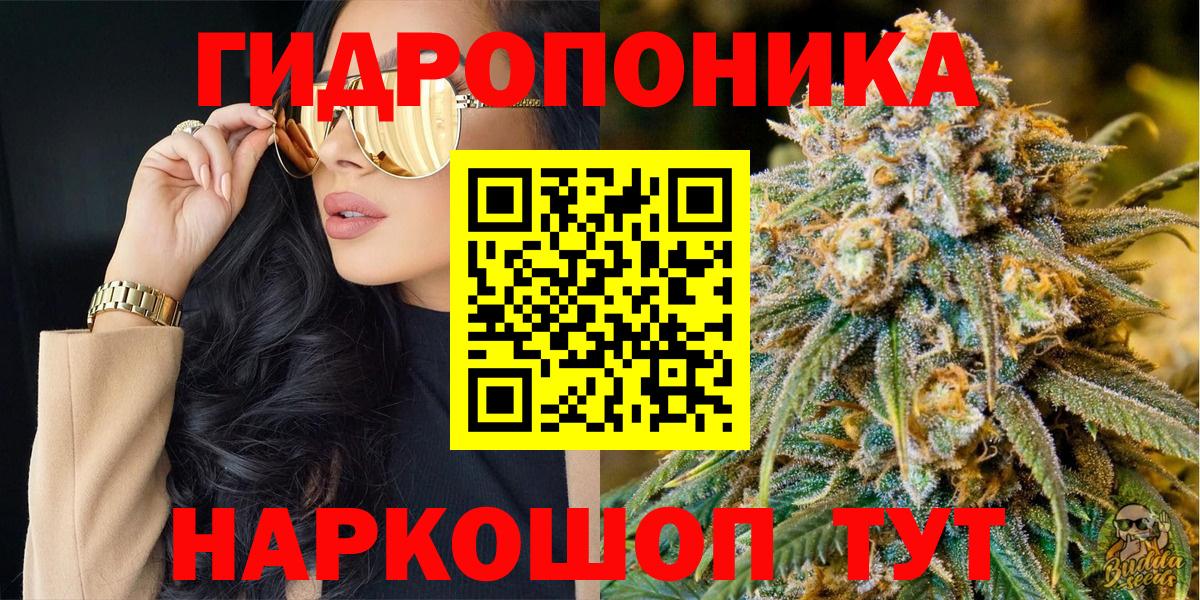 Конопля AK-47 Великий Устюг